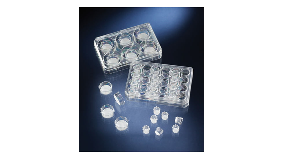 Nalge Nunc Insert Cc 3um Pc Md24 Cs48 140627, Unit CS