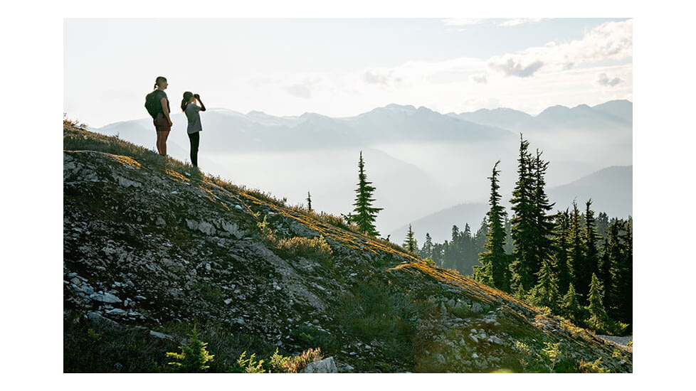 Nikon STABILIZED 12x25mm S Roof Prism Binoculars, Black, 16783