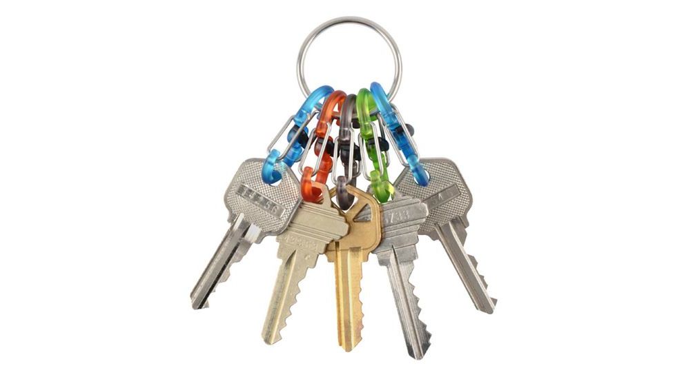 Nite Ize KeyRing Locker S-Biner, Assorted, KRGP-11-R3