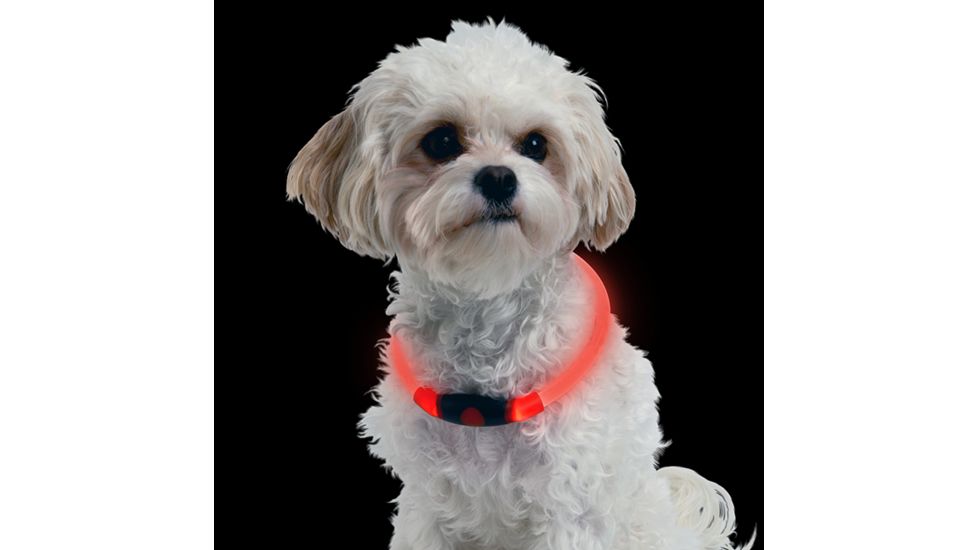 Nite Ize Nite Howl LED Pet Safety Necklace,Red LED NHO-10-R3