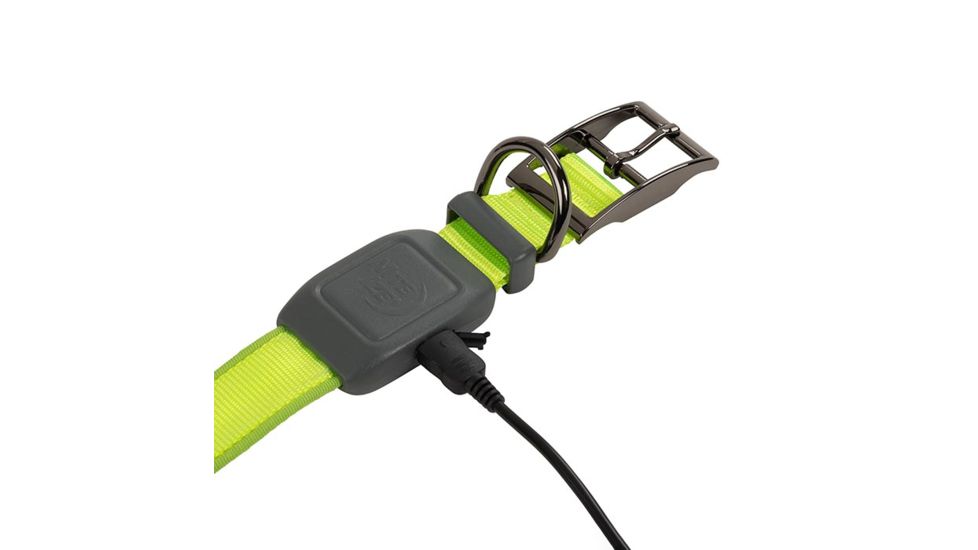 Nite Ize NiteDog Rechargeable LED Collar, Lime/Green, Small, NDCRS-17-R3