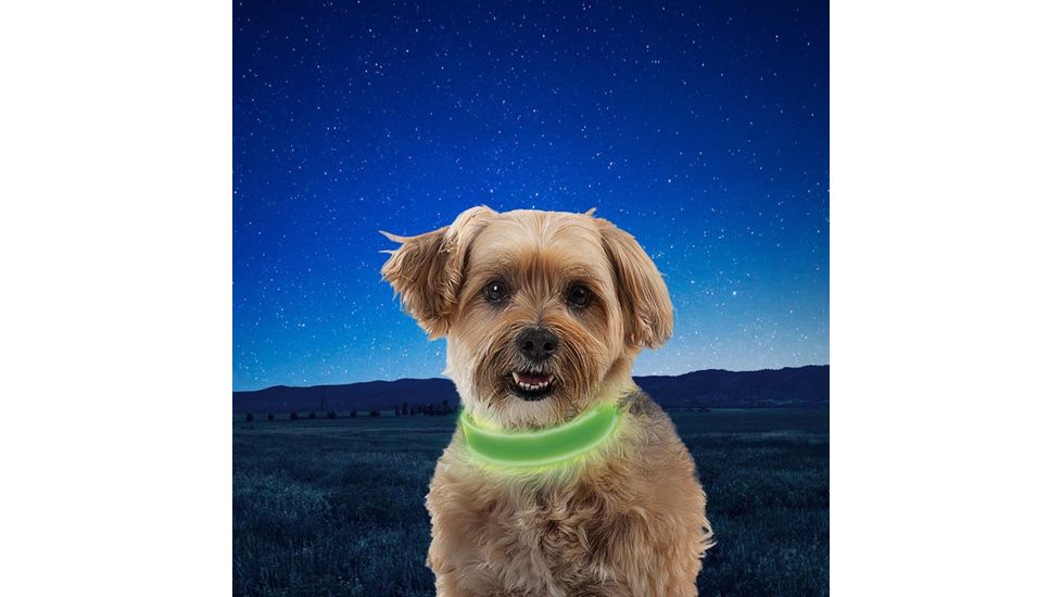 Nite Ize NiteDog Rechargeable LED Collar, Lime/Green, Small, NDCRS-17-R3