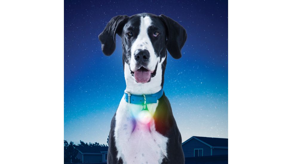 Nite Ize SpotLit Rechargeable Collar Light, Multi, Extra Large, PSLGR-07S-R6