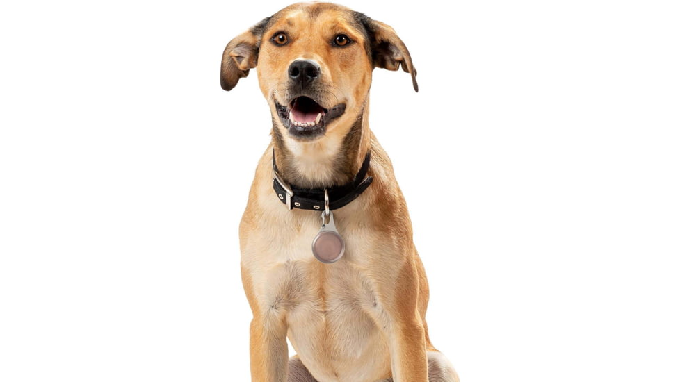 Nite Ize Wearabout Pet Clippable Tracker Holder, Smoke - WATP-06T-R6