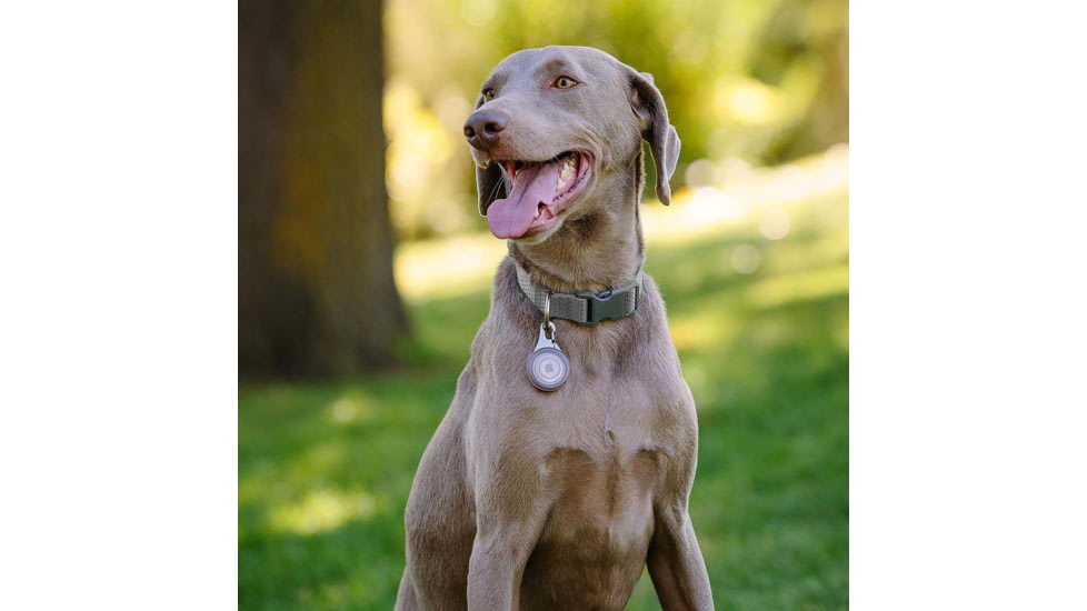 Nite Ize Wearabout Pet Clippable Tracker Holder, Smoke - WATP-06T-R6