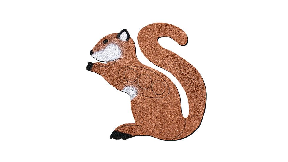 Oncore Targets Red Squirrel Self-Healing Archery Target, Brown, Small, GS2