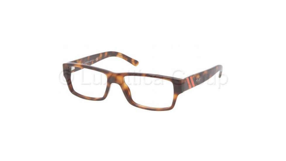 Polo PH2085 Bifocal Prescription Eyeglasses 5303-5216 - Tortoise Frame, Demo Lens Lenses