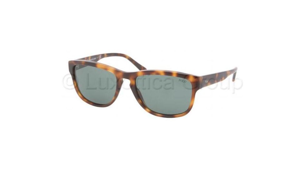 Polo PH4053 Progressive Prescription Sunglasses PH4053-530371-5417 - Lens Diameter 54 mm, Frame Color J.C. Tortoise