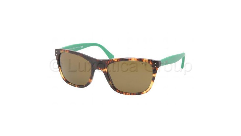 Polo PH4071 Bifocal Prescription Sunglasses PH4071-538473-5519 - Lens Diameter 55 mm, Frame Color New Havana