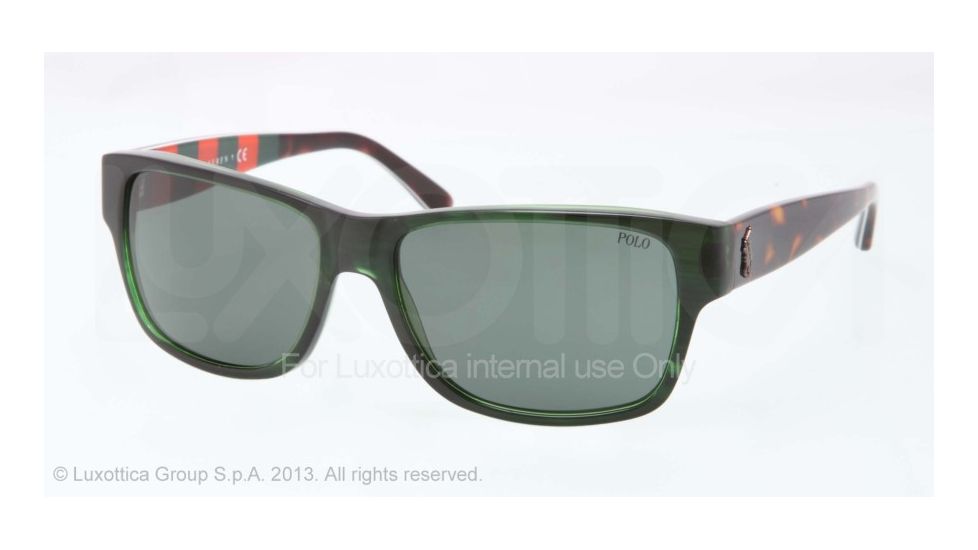 Polo PH4083 Progressive Prescription Sunglasses PH4083-544271-57 - Lens Diameter 57 mm, Frame Color Trasparent Green