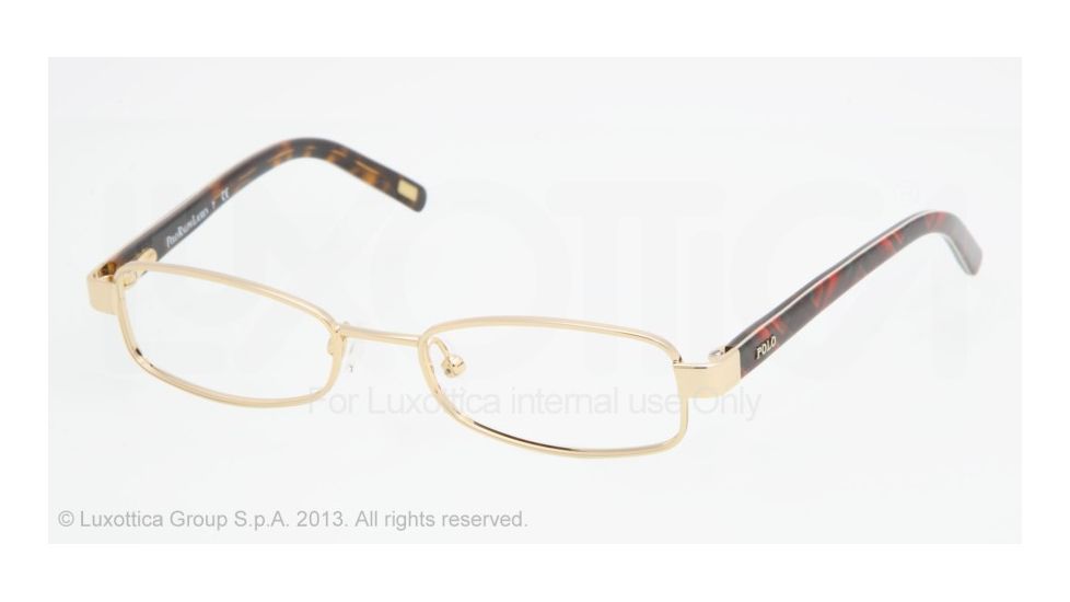 Polo PP8023 Bifocal Prescription Eyeglasses 106-47 - Gold Frame