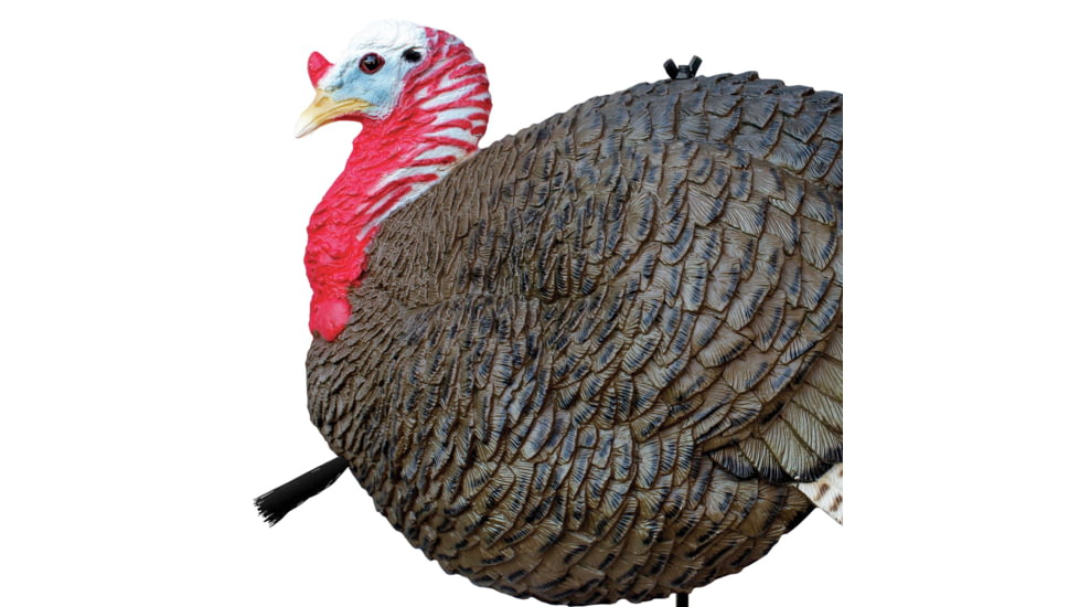 Primos Hunting Gobbstopper Jake Turkey Decoy, Box, 69066