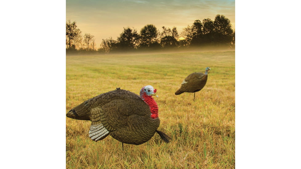 Primos Hunting Gobbstopper Jake Turkey Decoy, Box, 69066