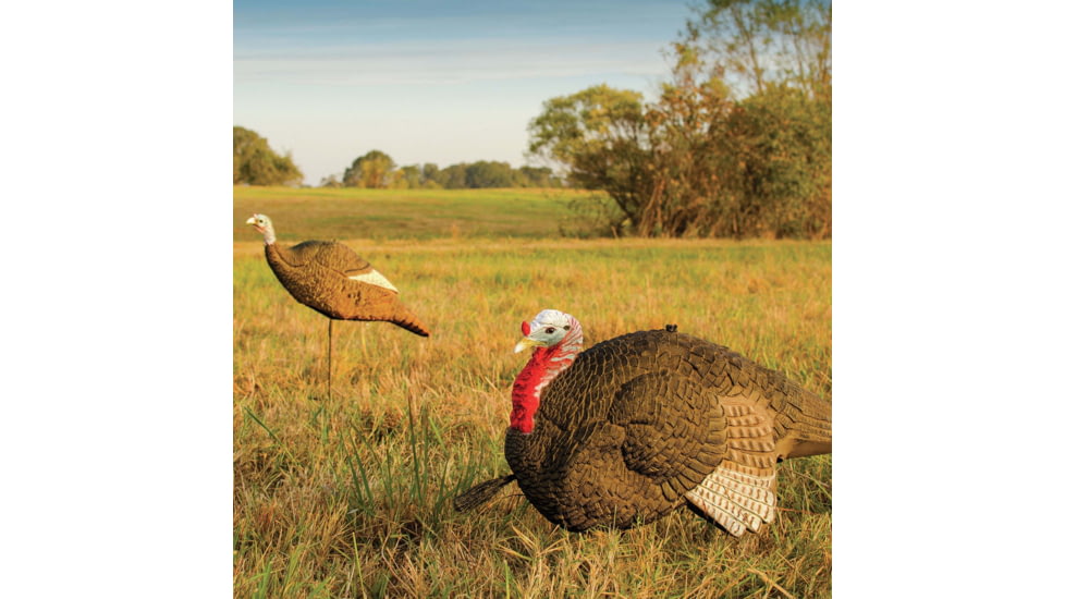 Primos Hunting Gobbstopper Jake Turkey Decoy, Box, 69066