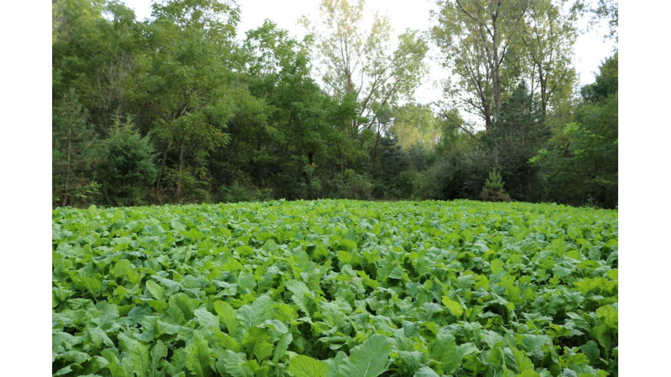 RaKK Fuel Tombstone 1/2 Acre, Small, 7536