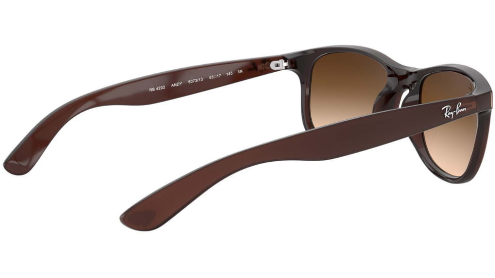 Ray-Ban ANDY RB4202 Sunglasses 607313-55 - Matte Brown Frame, Brown Gradient Lenses