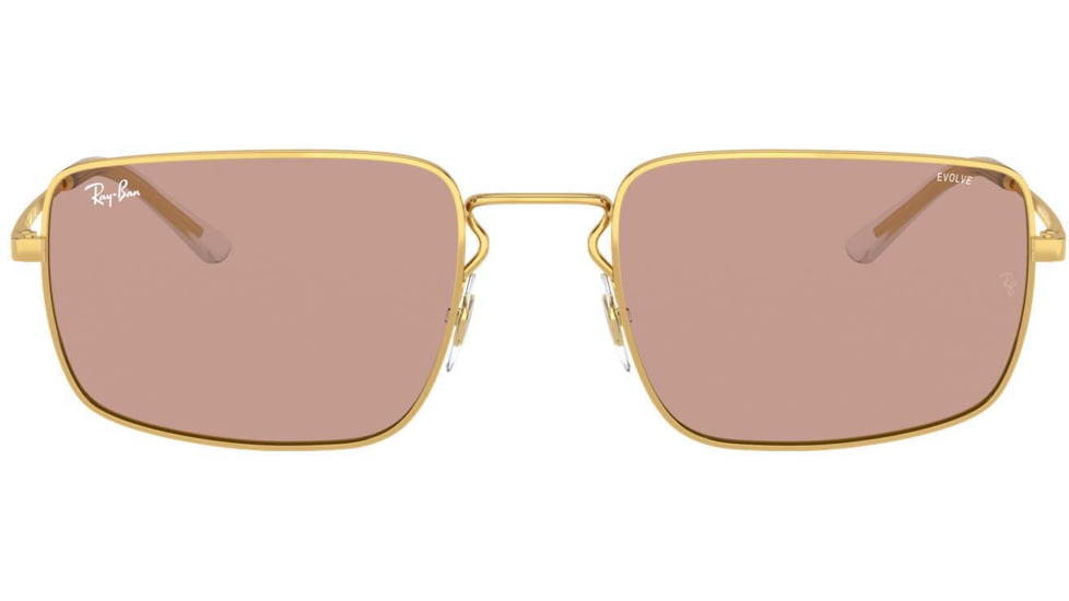 Ray-Ban RB3669 Sunglasses 001/Q4-55 - , Evolve photo brown Lenses