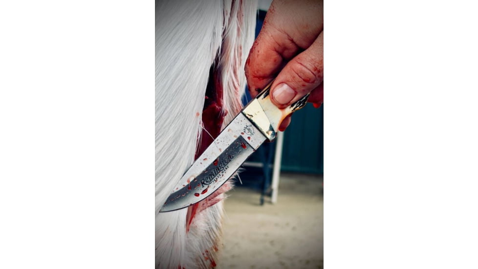 Remington King of Mountain 2026 Bullet 3.5in Fixed Blade Knife