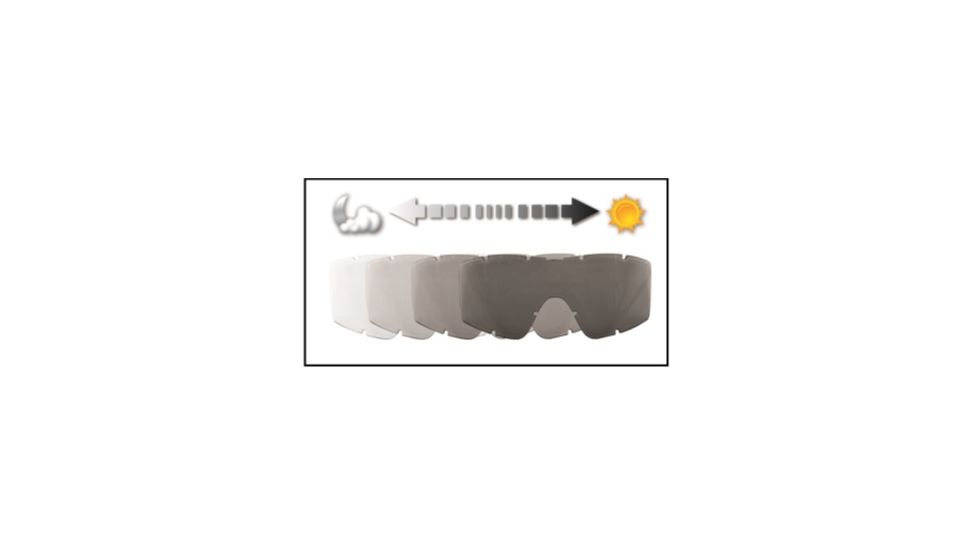 Revision Desert Locust Carrier Goggle - Basic Photochromic Kit, Black Frame / Photochromic Lens, 4-0309-9903