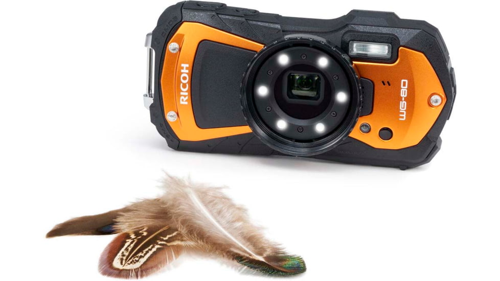 Ricoh WG-80 Digital Camera, Orange, Orange, 03128