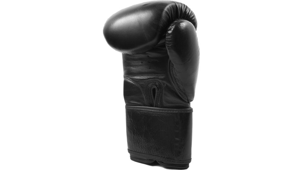 Ringside Usa Safety Training Gloves USARP 