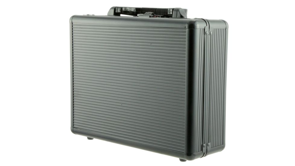 2nd AMENDMENT BL10 HG CASE 2-4 HG