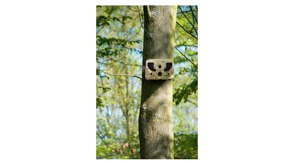 Spy Point Tiny Plus 10MP Invisible LED HD Trail Camera w/Time-Lapse and Multi-shot, Camo Tiny Plus