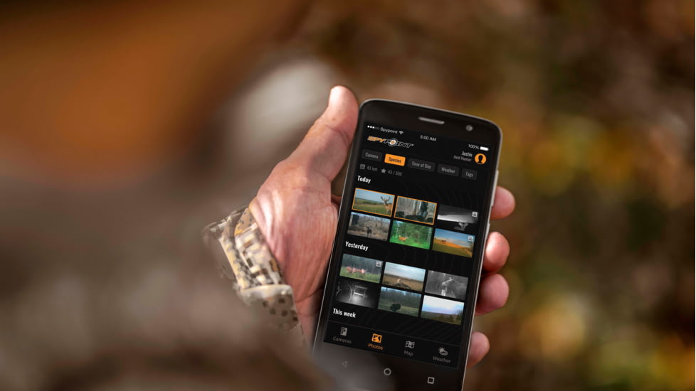 Spypoint Flex Camera, Gray, FLEX