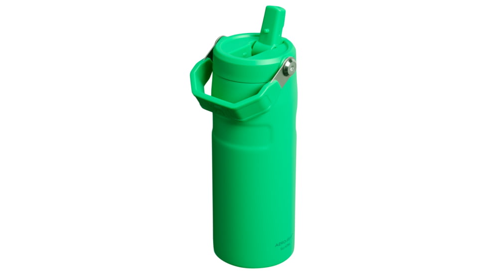 Stanley The IceFlow Flip Straw 2.0 16 oz Bottle with Flip Straw Lid, Meadow, 16 oz / 0.47 L, 10-12110-022