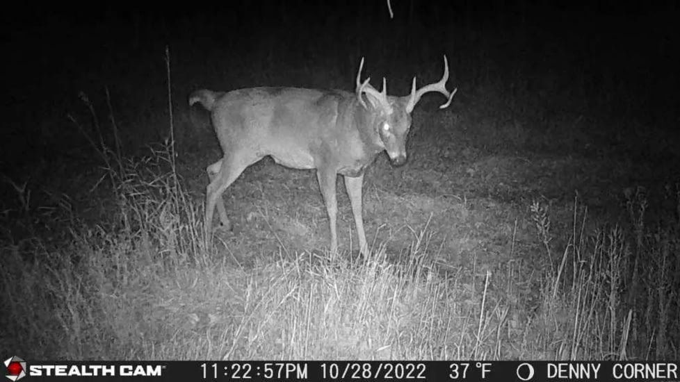 Stealth Cam Fusion-X Pro Cellular Hunting Trail Camera, 36MP, Video &amp; Photo, Camo, STC-FXWT