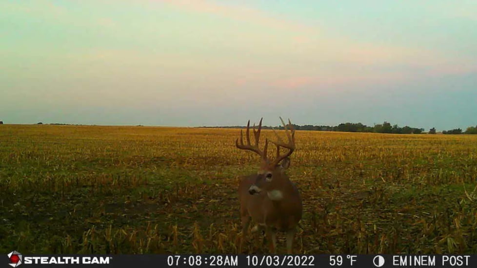 Stealth Cam Fusion-X Pro Cellular Hunting Trail Camera, 36MP, Video &amp; Photo, Camo, STC-FXWT