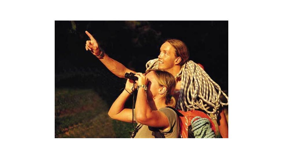 Steiner 12x30 Wild-Life Pro