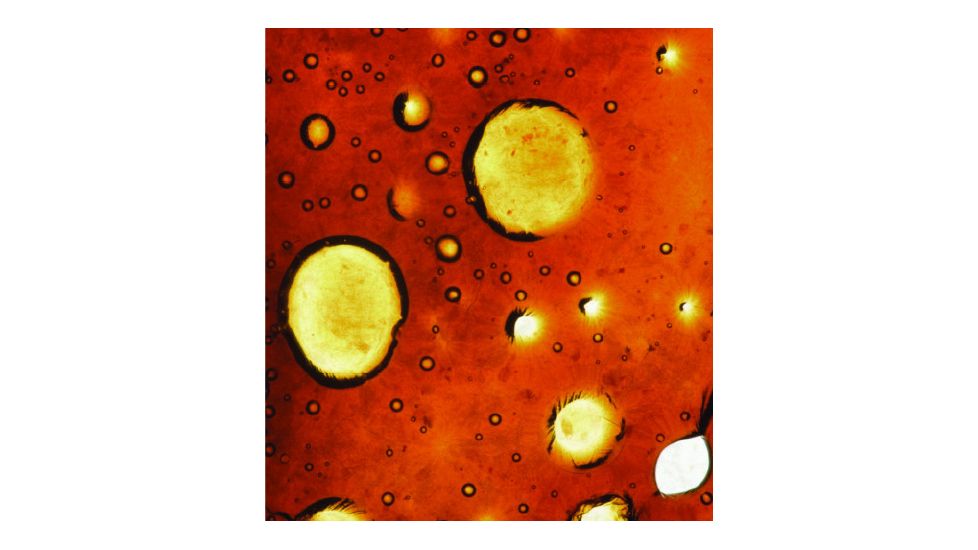 Tasco USB Microscope 780200