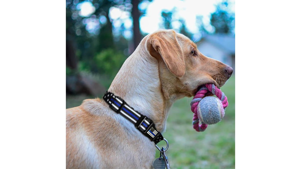 Thin Blue Line Stars & Stripes Collar, Thin Blue Line - TBL-AM-CR-SMALL