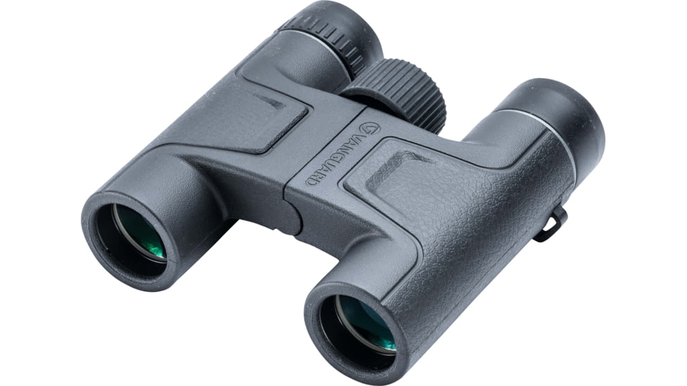 Vanguard Vesta Binocular, 10x25mm, Roof System, BAK4 Prism, Black, Vesta 1025