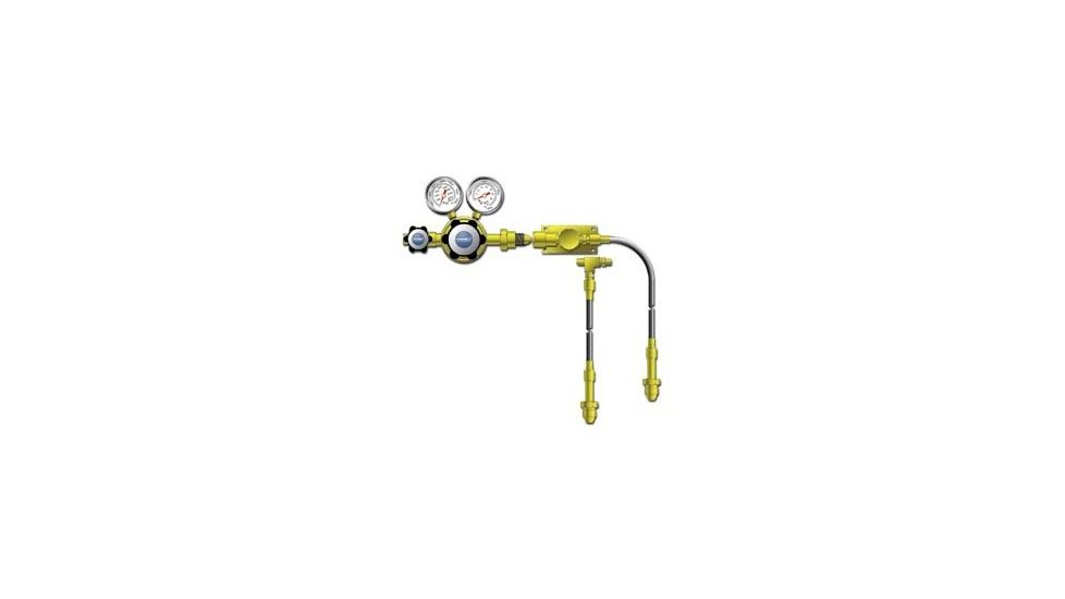 VWR Cylinder Manifolds for High-Purity Noncorrosive and Corrosive Gases 4702640 Brass Protocol Stations For Two Cylinders
