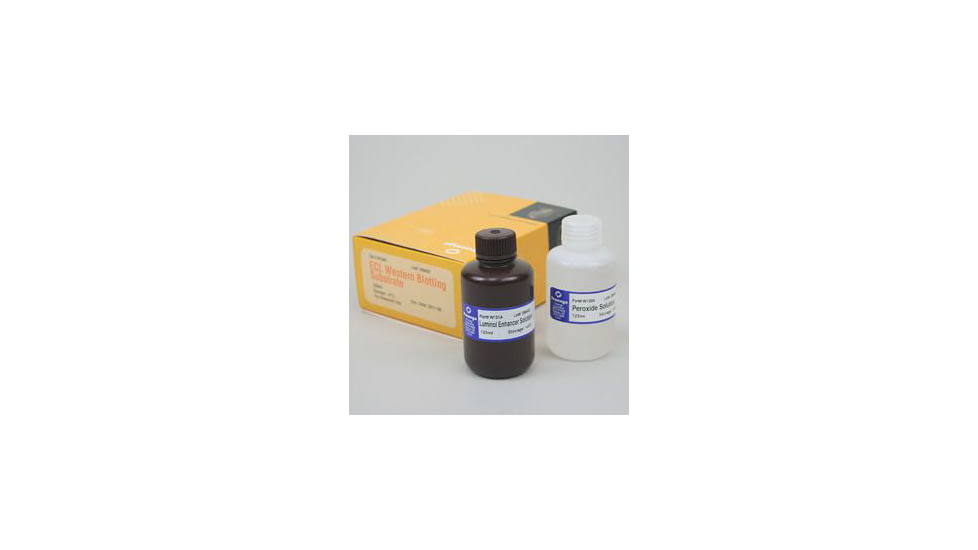 VWR Ecl Western Blotting 250ml W1001, Unit EA