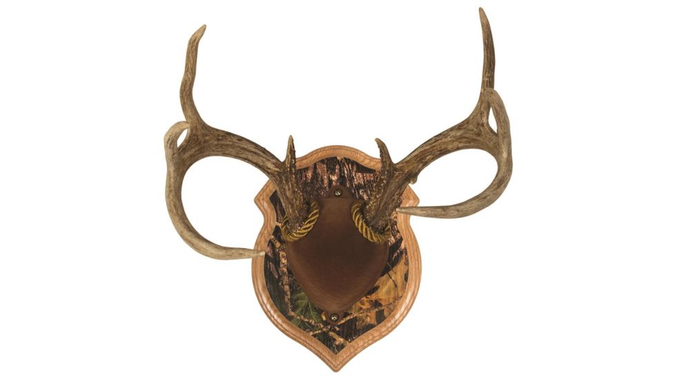 Walnut Hollow Deluxe Antler, Display Kit Camo 40591
