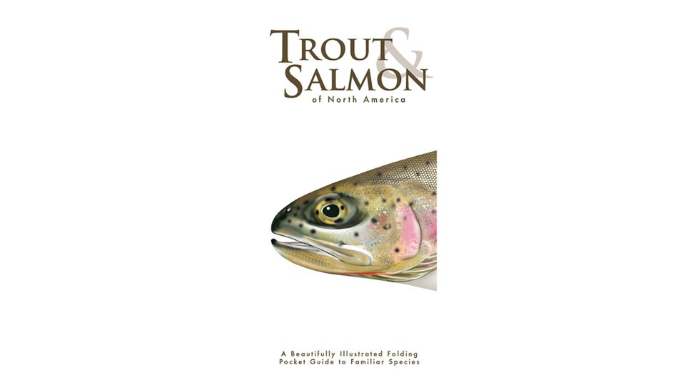 Waterford Press Trout &amp; Salmon 9781620052174