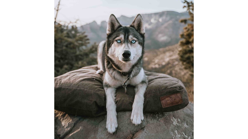 White Duck Dog Bed, Brown, 36inx27inx4in, FBA-PBB-3422