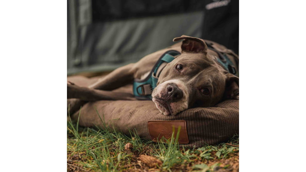 White Duck Dog Bed, Brown, 36inx27inx4in, FBA-PBB-3422