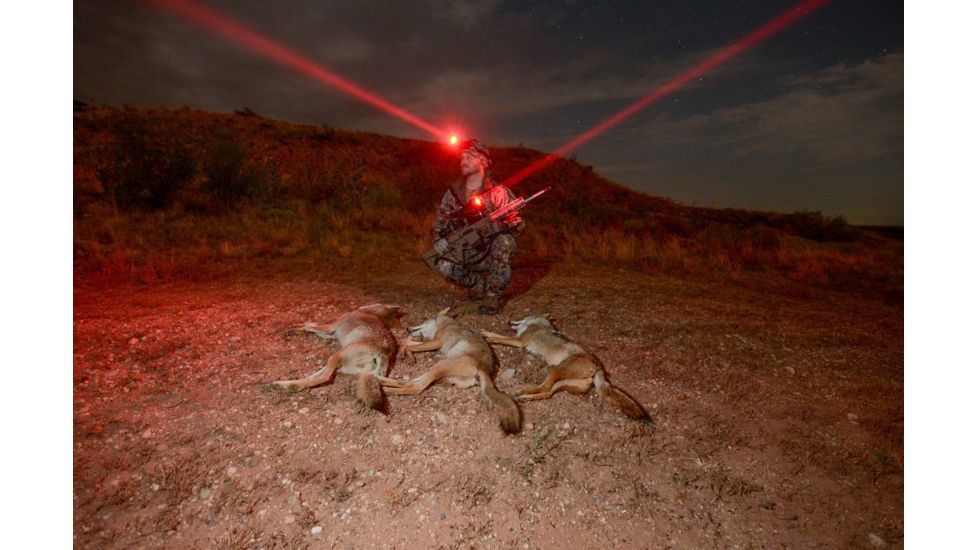 Wicked Hunting Lights A67iC and ScanPro iC 3-Color-In-1 Night Hunting Light and Headlamp Combo Kit, Green/Red/White, W2053