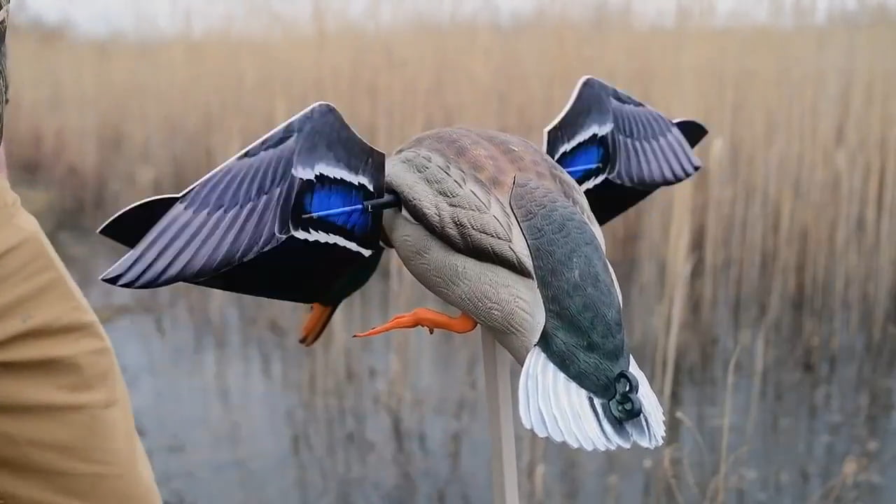 opplanet avian x powerflight mallard video