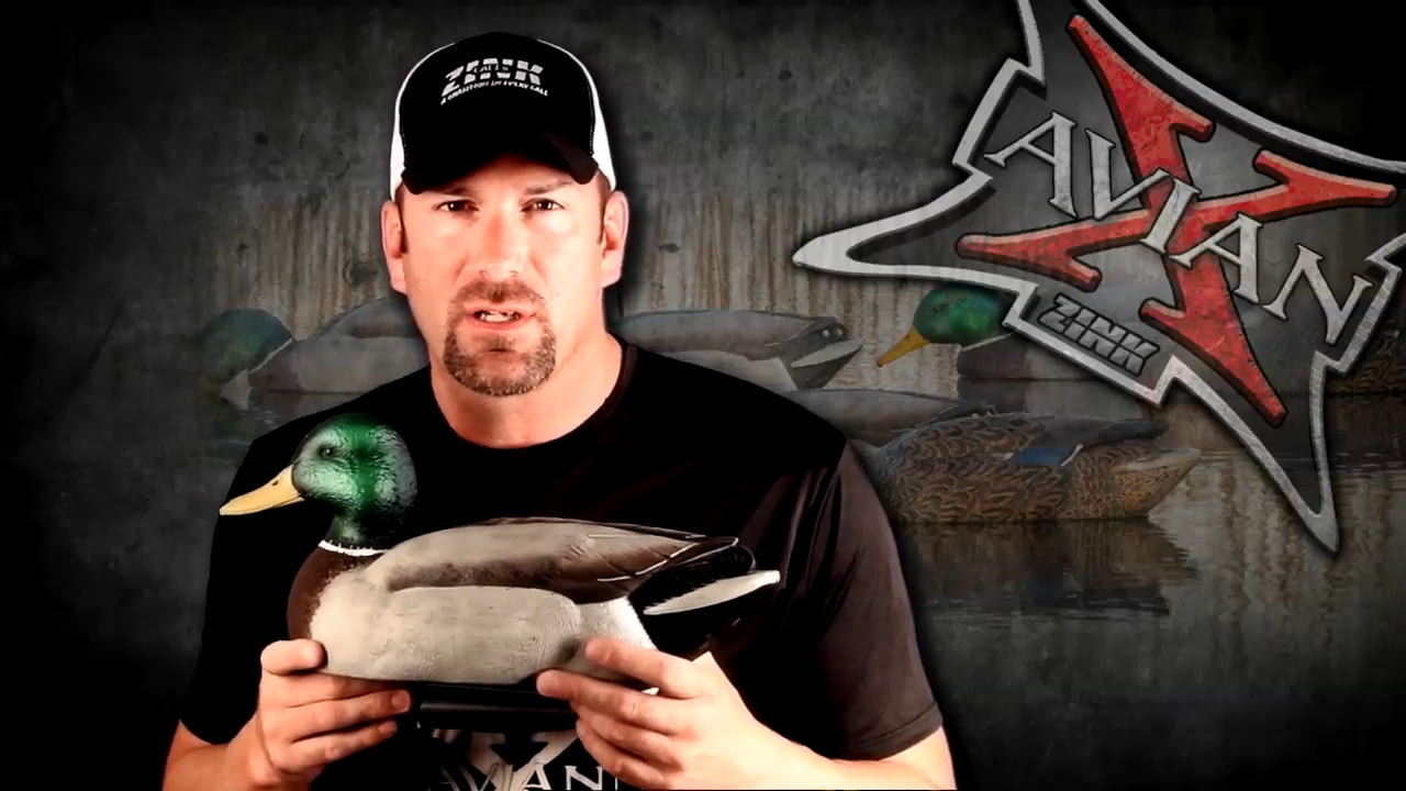 opplanet avian x toplight mallards product profile video