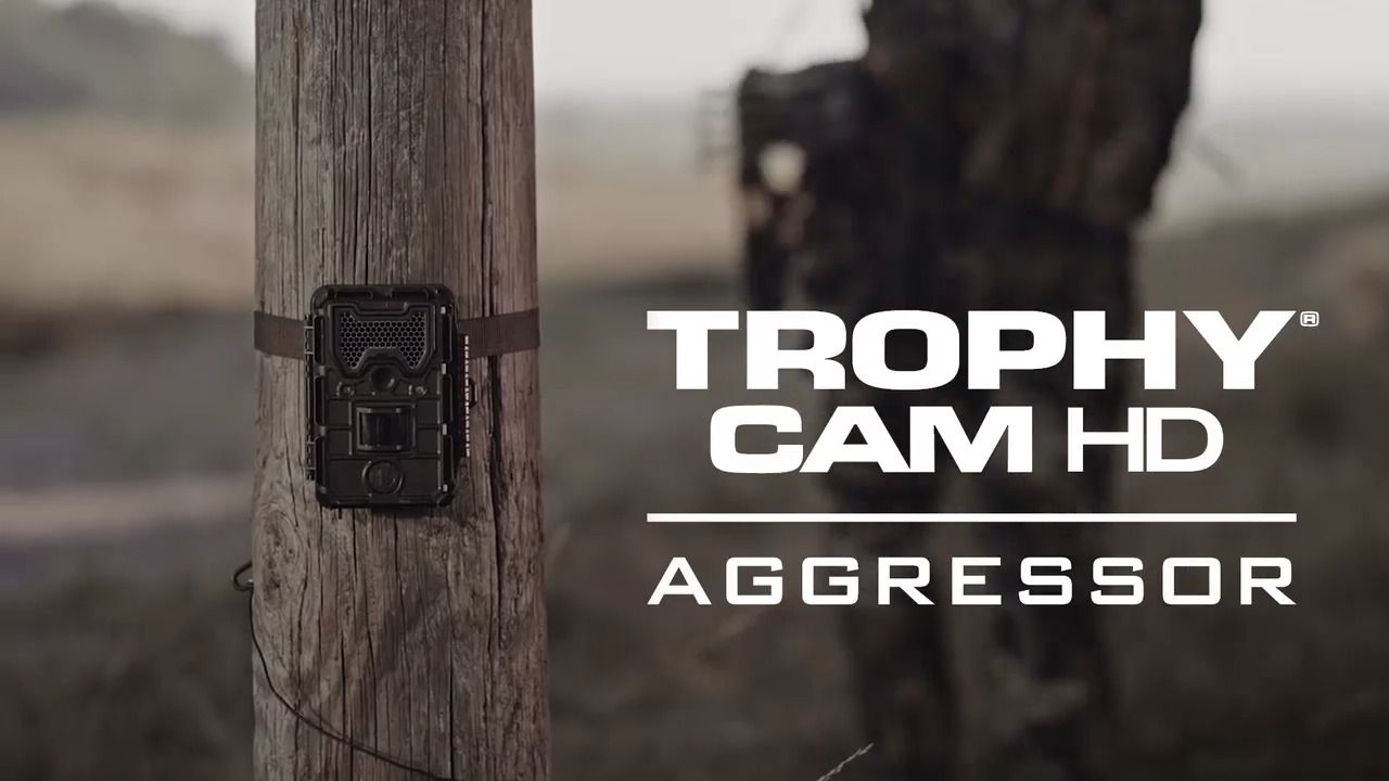opplanet bushnell bus 1702 trophy cam video