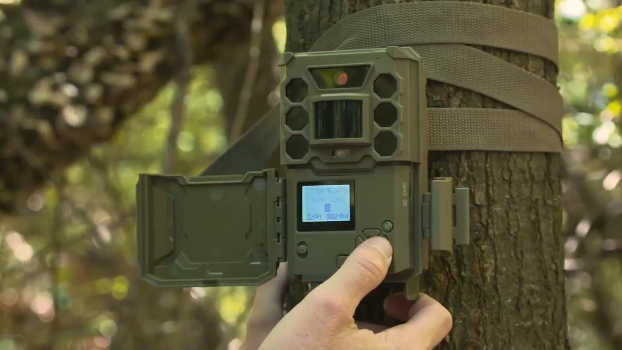 opplanet bushnell core low glow and no glow trail cameras video