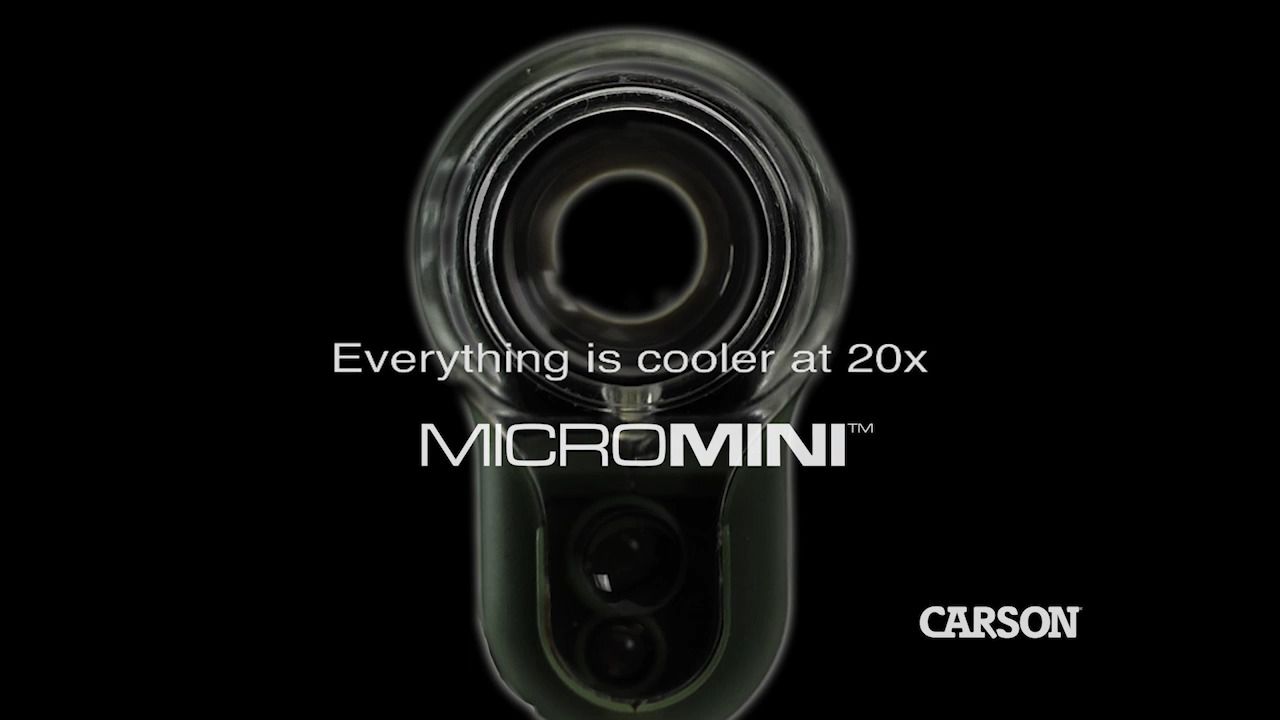 opplanet carson micromini video