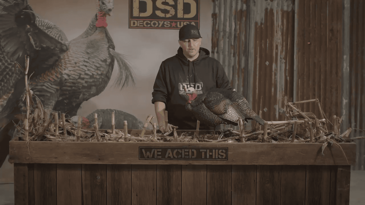 opplanet dave smith decoys 3 4 strut jake decoy video