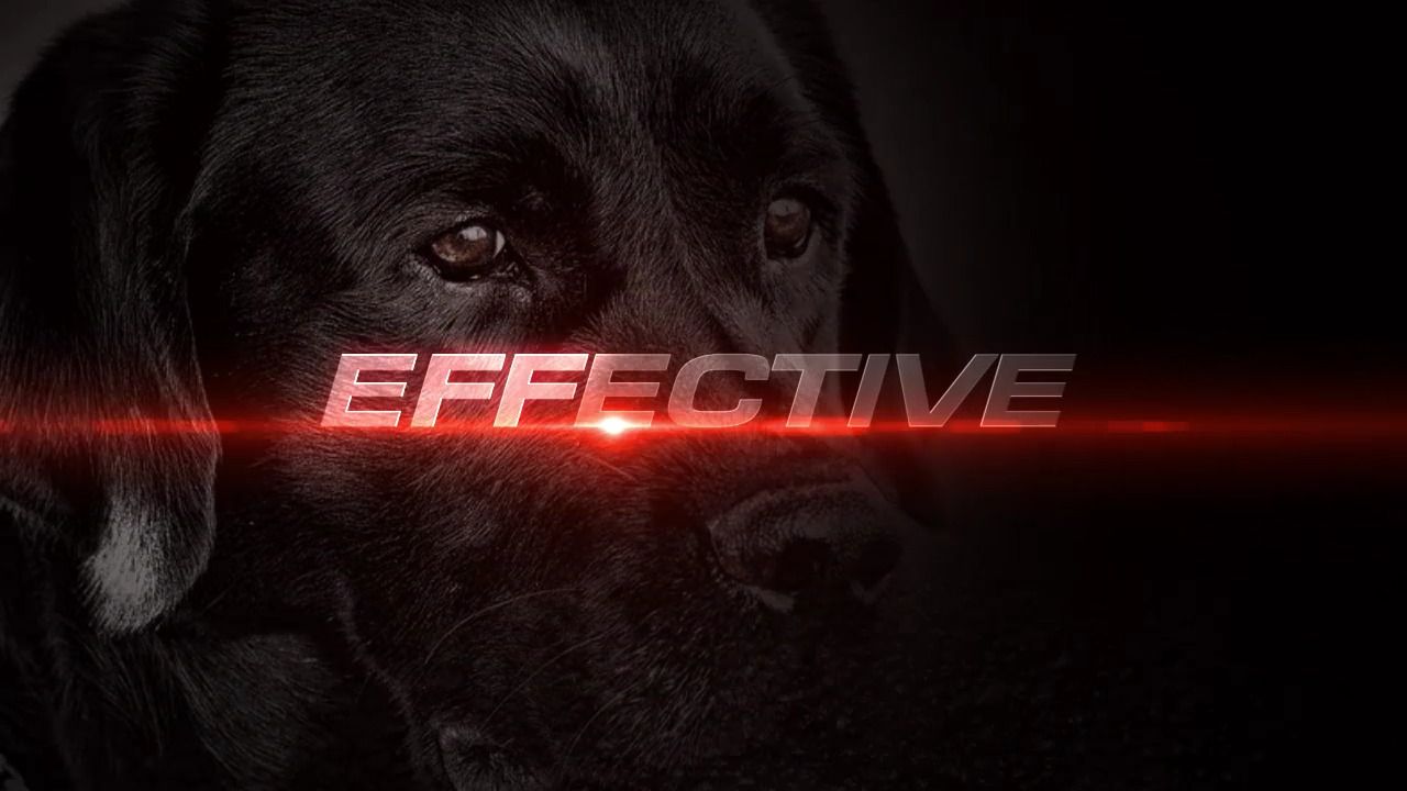 opplanet dogtra 200c pr enh sound mix 720p video