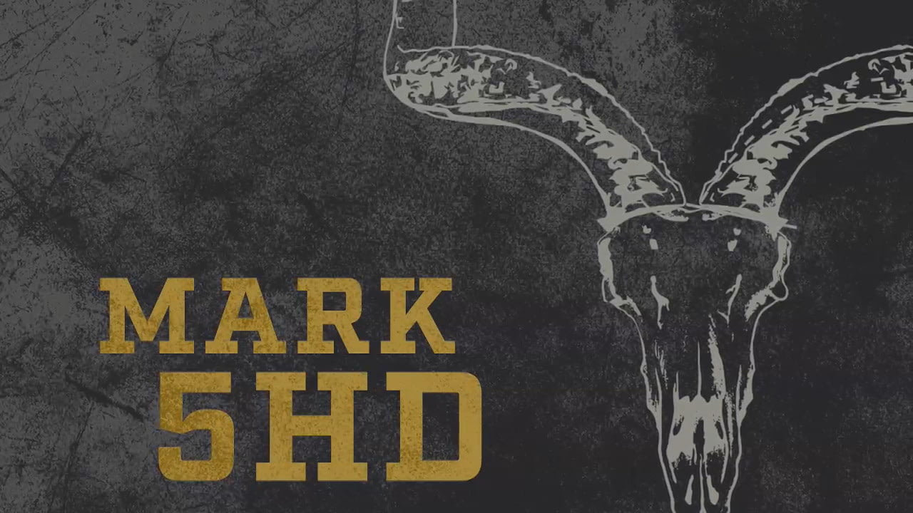 opplanet leupold 101 mark 5hd riflescope video